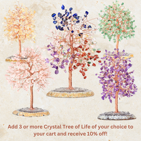 Tree of Life Bundle